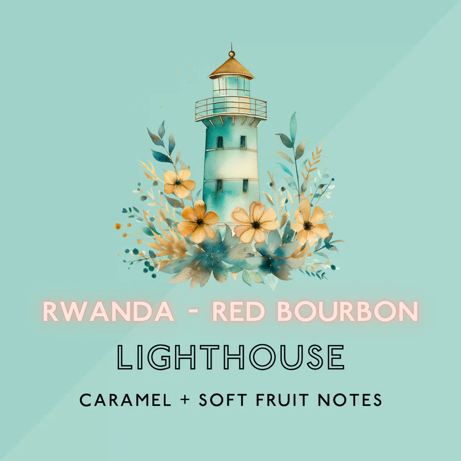 The Artery Community Roasters - Lighthouse