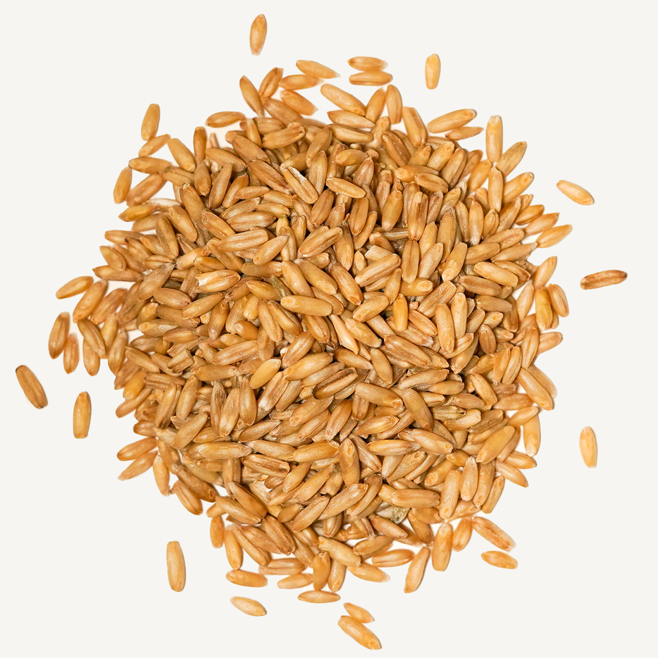 Oat Groats