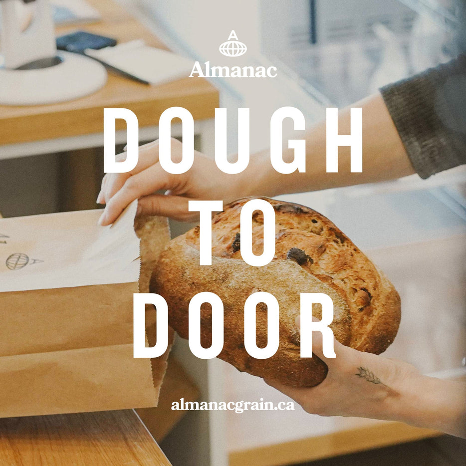 Almanac Bakery Subscription - September (Fridays)