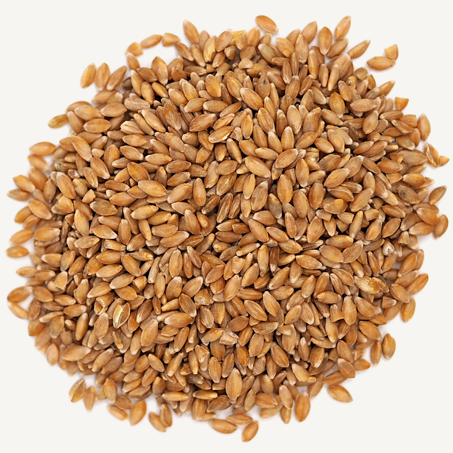 Einkorn Berries