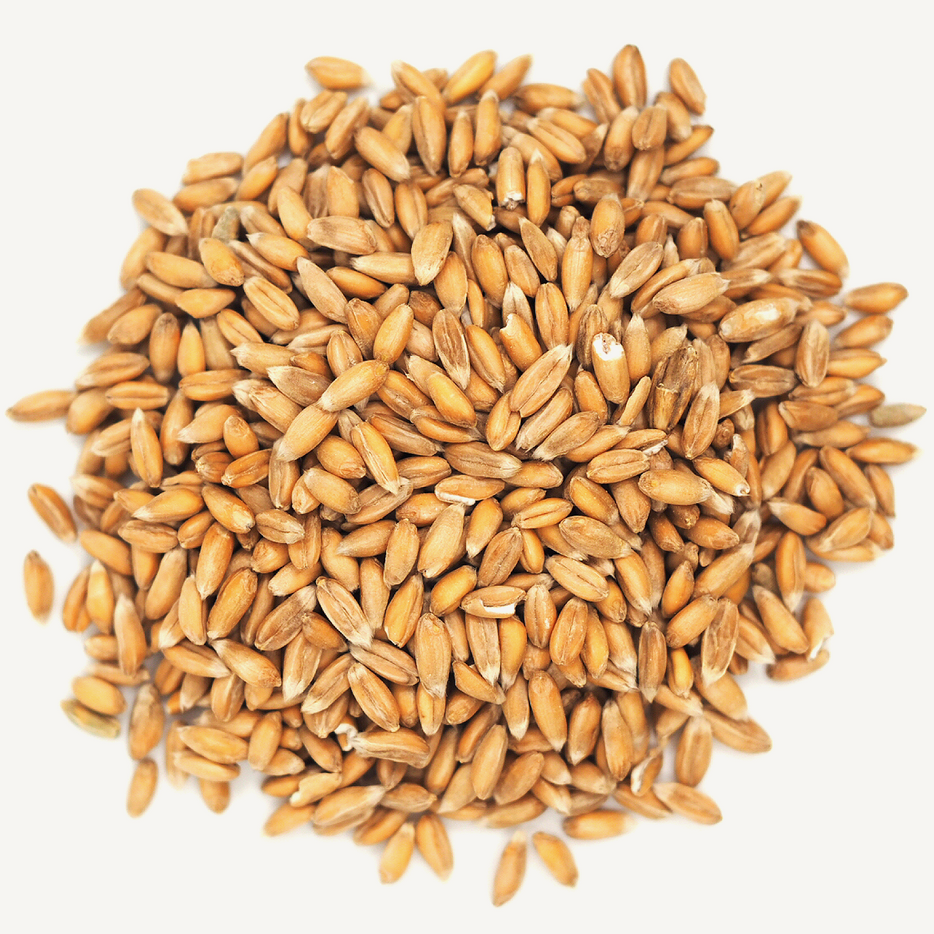 Spelt berries